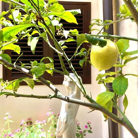 Casa Delle Gioie Appartamento